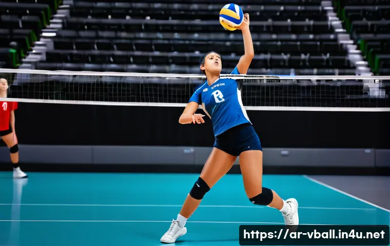 배구 규칙 시험 준비 관련 이미지 1